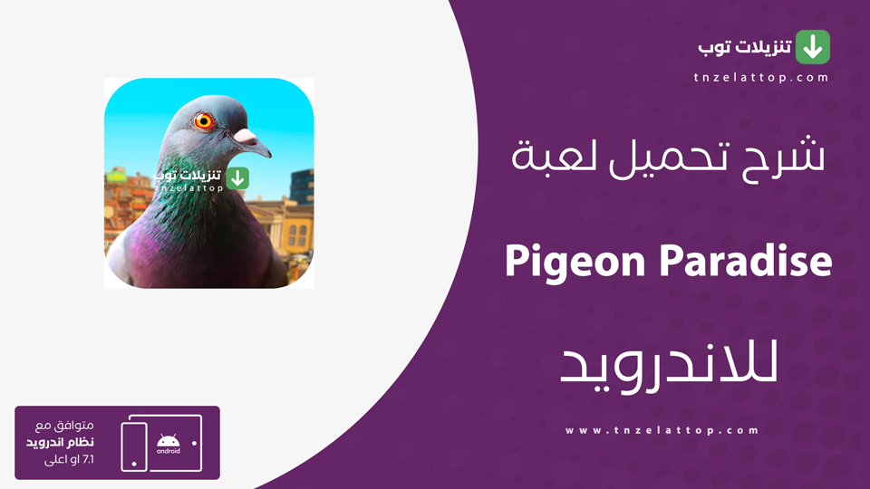 Pigeon Paradise مهكرة